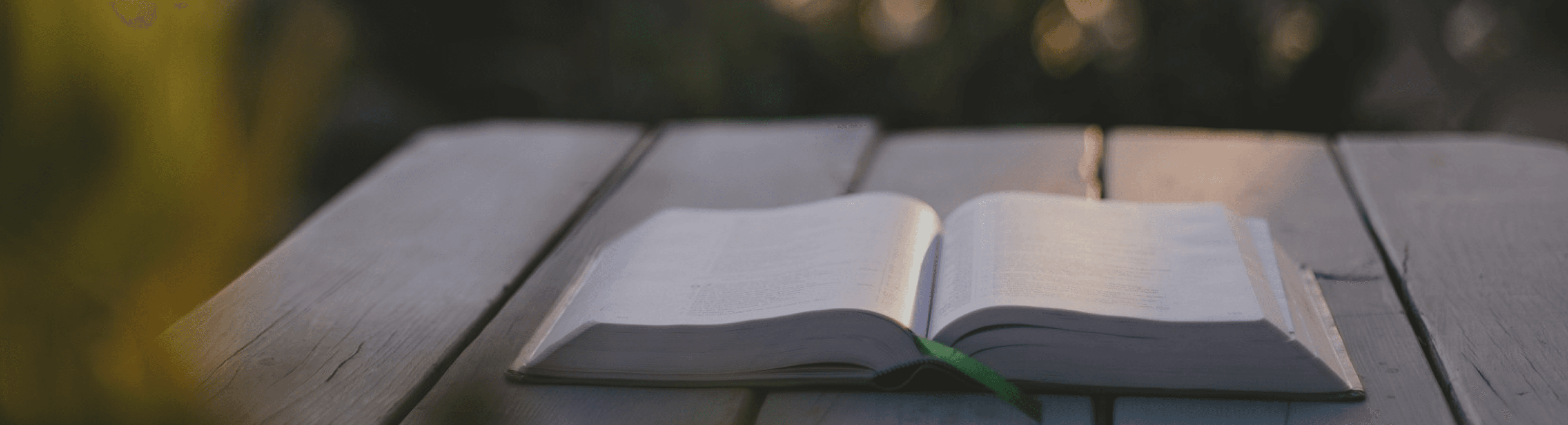 Page header background