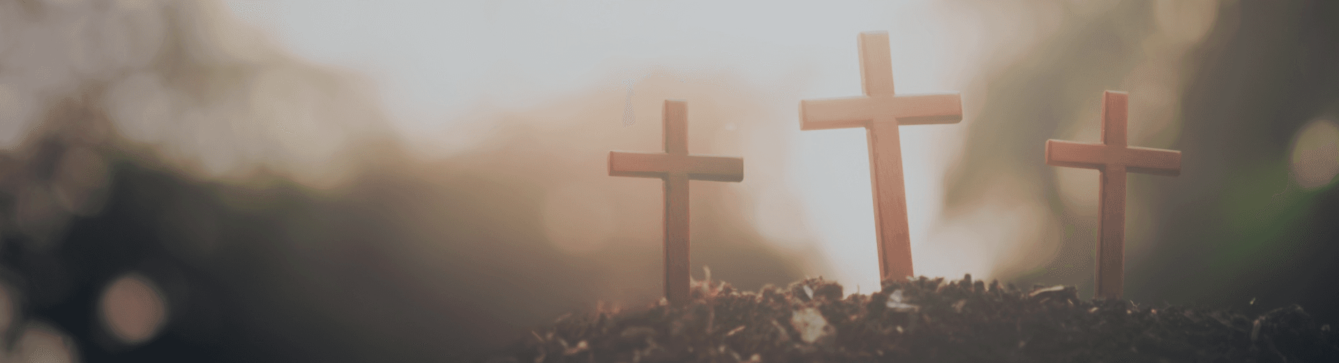 Page header background